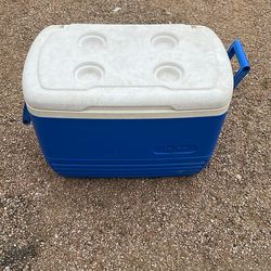 Igloo Cooler with Drink Holder Lid