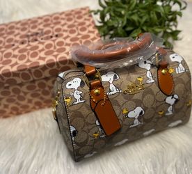 Snoopy purse inspo