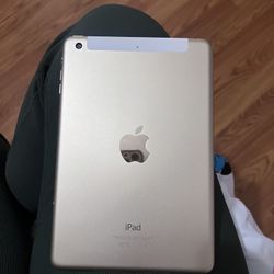 iPad Mini 3 With Case 