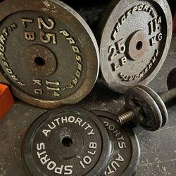 Weight Plate Set/ dumbbell (good Condition)