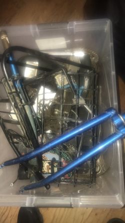 1965 Schwinn Twinn