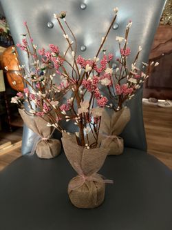 Cherry Blossom Trees