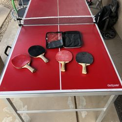 Ping Pong Table 