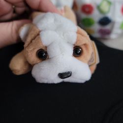 Ultra Rare Beanie Baby Wrinkles