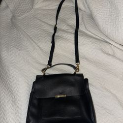 Steve Madden Purse