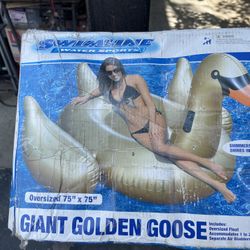 Inflatable Pool Float