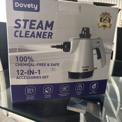 Steam Cleaner 