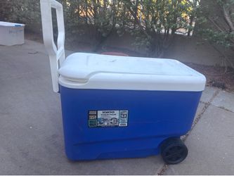 Igloo rolling chest