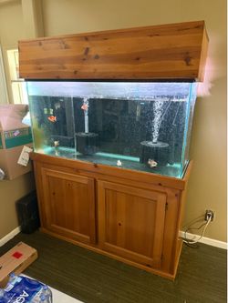 Fish tank