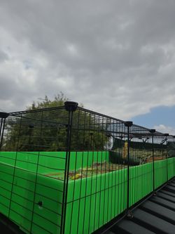 Animal cage