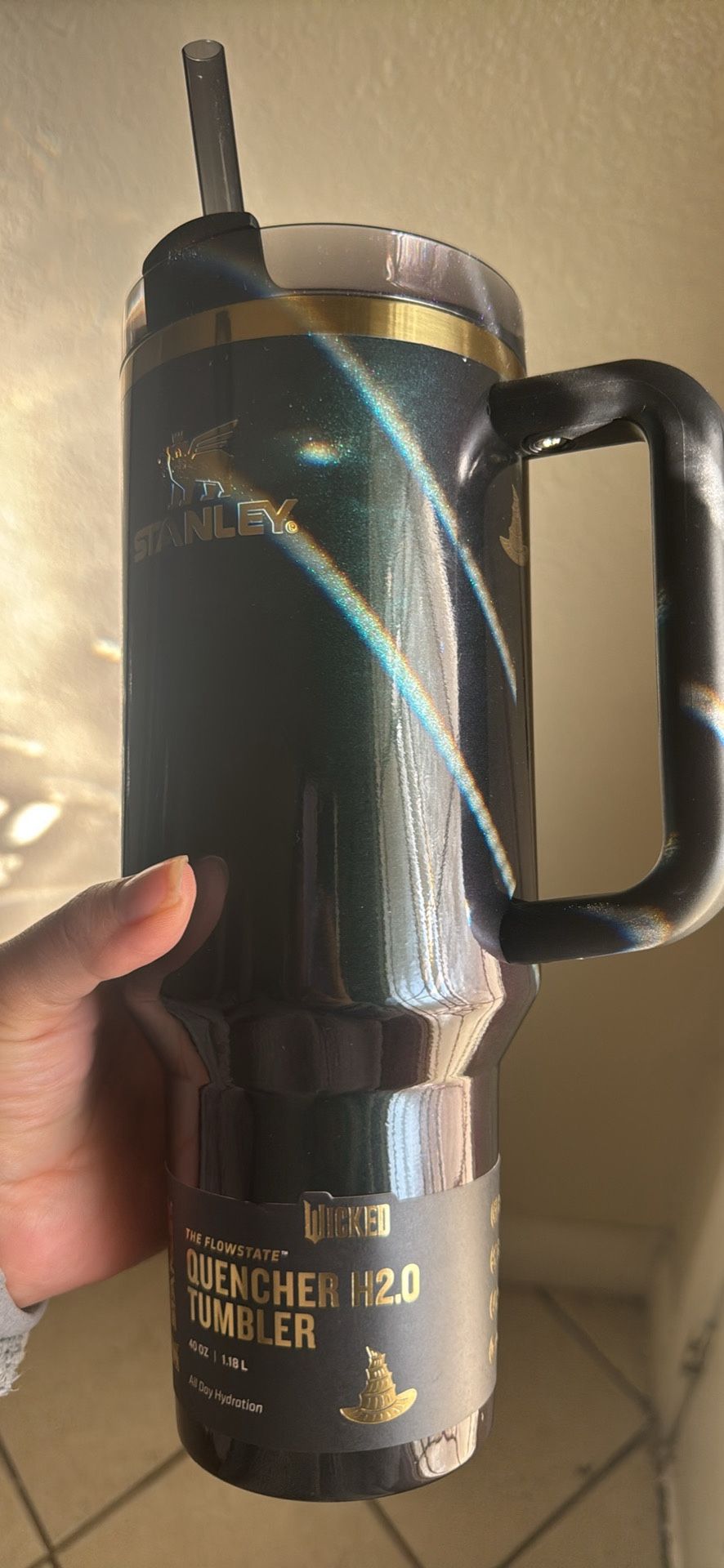 Stanley x Wicked 40 Oz Tumbler