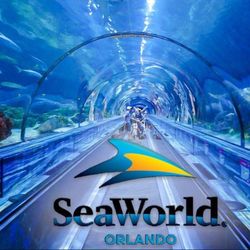 Seaworld Orlando 