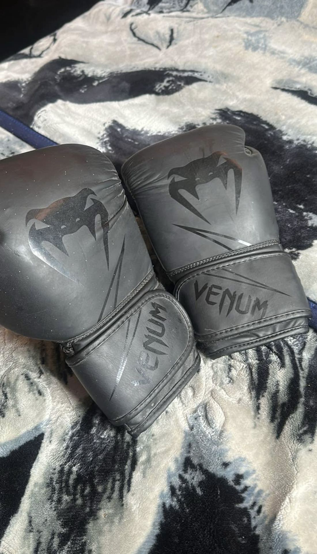 Venom Boxing Gloves