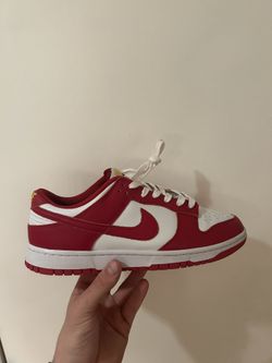 Nike Gym Red Dunks