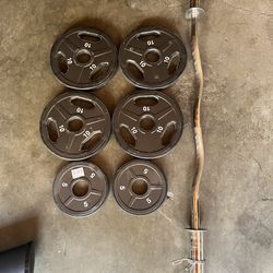 Olympic Weights with Curling Bar
