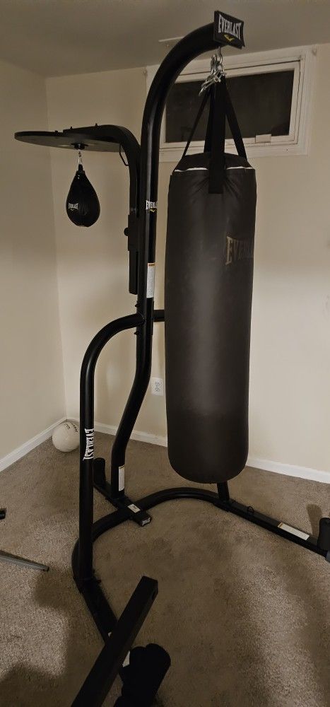 Everlast Punching Bag