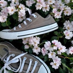 Gray Converse