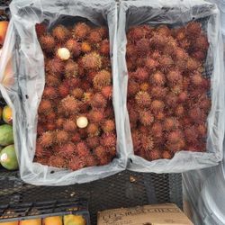 Rambutan 