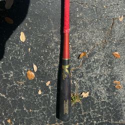 Victus Tatis Model 31/29