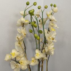 Artificial Plant  