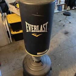 Everlast Punching Boxing