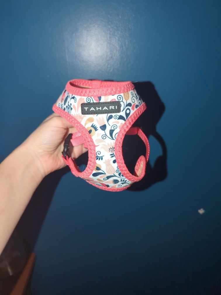 Cat Collar