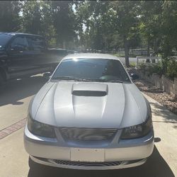 2004 Ford Mustang