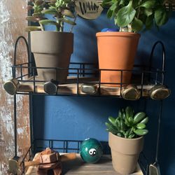 Garden 🪴 Shelf