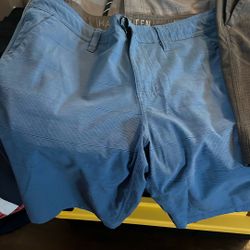 Men’s Hang Ten Brand Size 32 Shorts 
