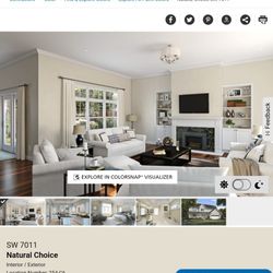 Paint For Sale And Primer 