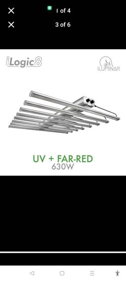 LED grow light plants