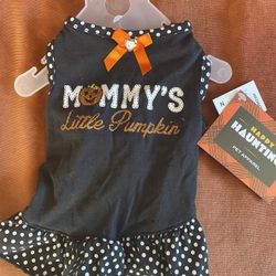 Halloween Pet Dress Xs