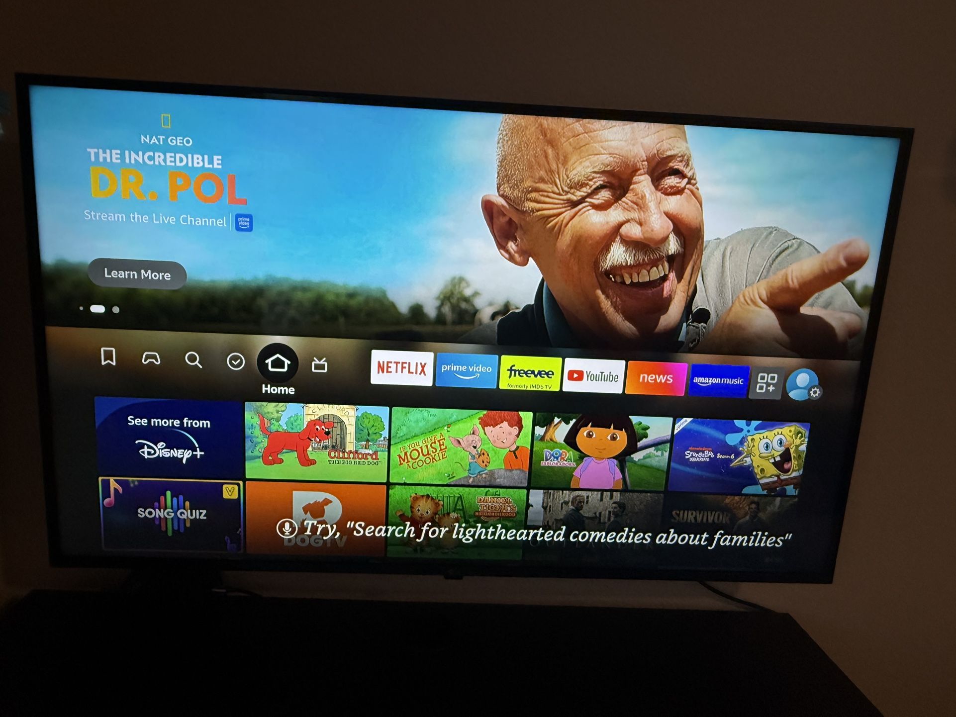Tv with firestick