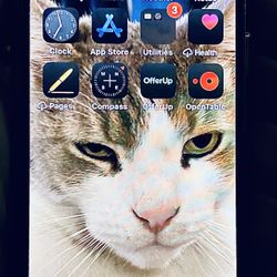 iPhone 12 Unlocked 