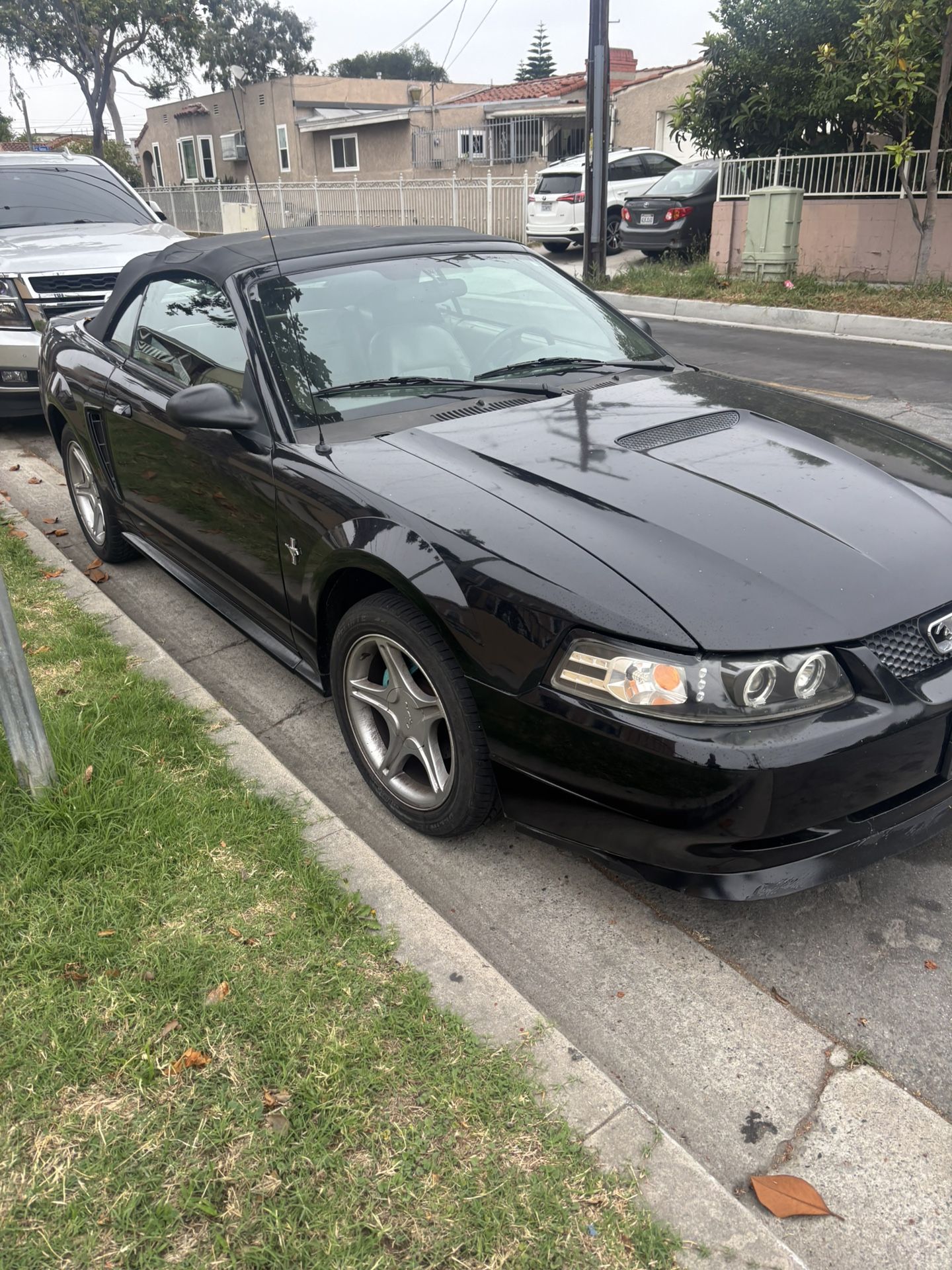 2000 Ford Mustang