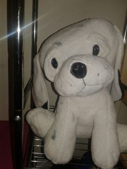 Last day jumbo doggy