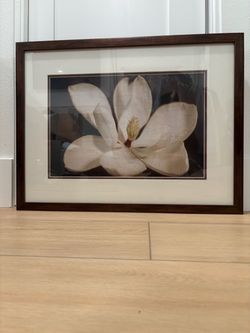 Framed picture