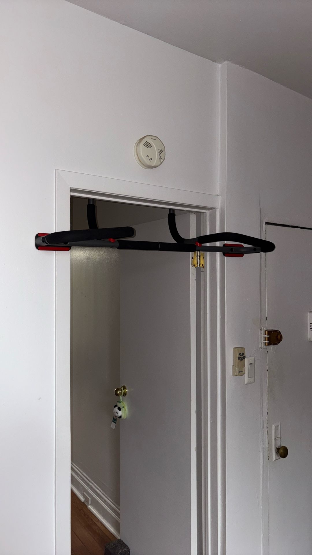 Pull Up Exercise bar