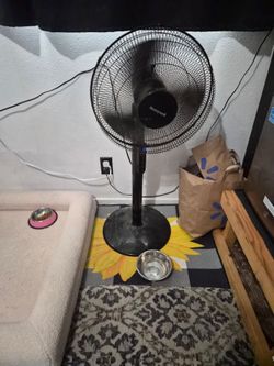 Fan (Honeywell )