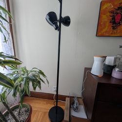 Two Sets Of Standing Lights