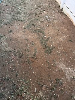 Free dirt