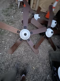 Ceiling Fans