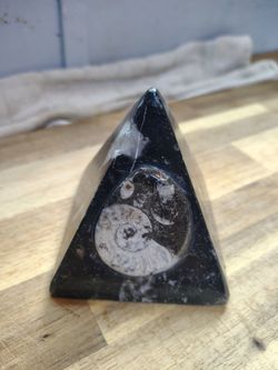 Genuine Moroccan Ammonite & Orthoceras Fossil Pyramid (1.4 lbs)
