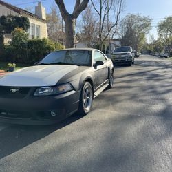 2002 Mustang  GT