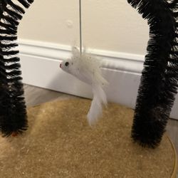 Small Animal Toy, Scratching Pad, and Body Scratcher