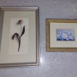 2 Floral Wall Art Pictures 