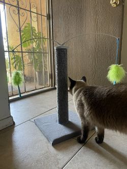 Cat Scratcher