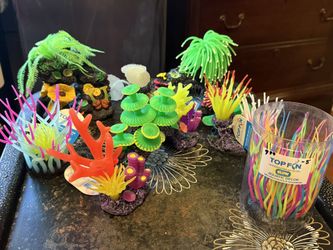 Everything Needed For A Glow Fish Tank