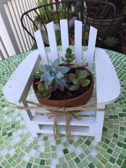 Small chair planter with succulent plants