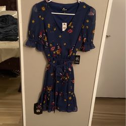 Express Floral Dress